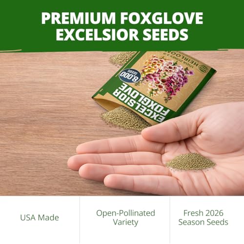 Foxglove Excelsior Mix 8000 Flower Seeds Digitalis purpurea