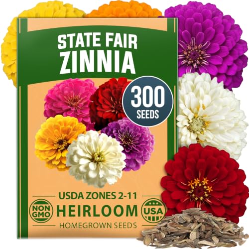 State Fair Zinnia 300 Flower Seeds Zinnia elegans