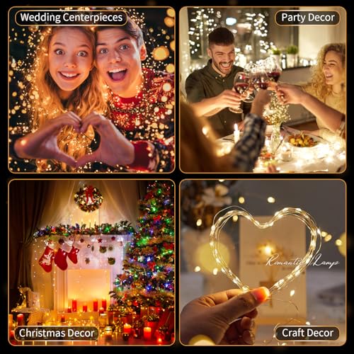 20 Pack LED Fairy Lights Battery Operated (20 Count)