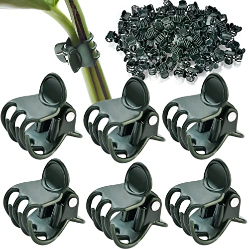 100 Pcs Plant Clips Orchid Clips Plants Orchid Support Clips Flower Vine Clips for Supporting Stems Vines Stalks Climbing Plant Grow Upright (100 Count)