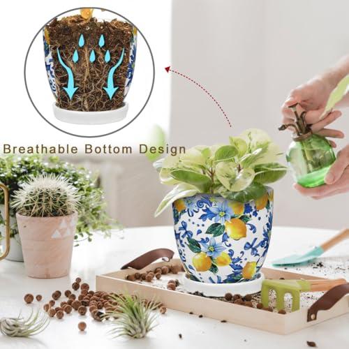 5.3+4.3 inch Ceramic Plant Pots (Lemon Patterns)