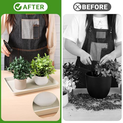 Rectangle Plant Tray 13 Inch (13 Inch / Beige)
