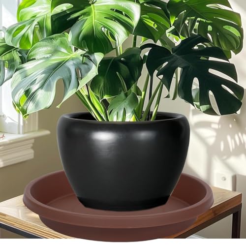 Plastic Plant Saucer Round 12 Inch Extra Large Pack of 2 Heavy Duty Drip Trays for Large Pots (12" (2 Pack) / Brown)