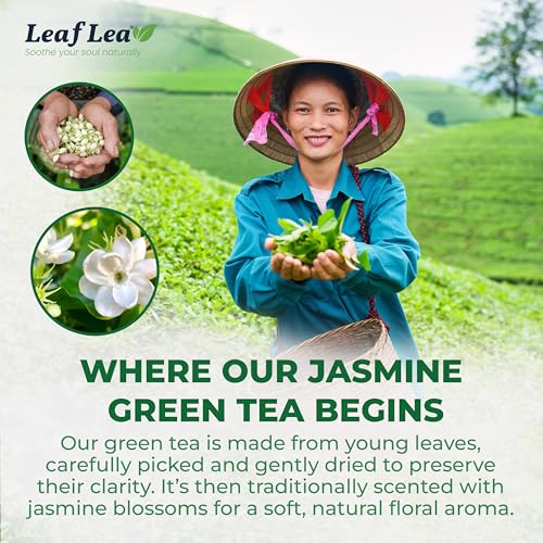 Jasmine Green Tea Bags (40 Count)