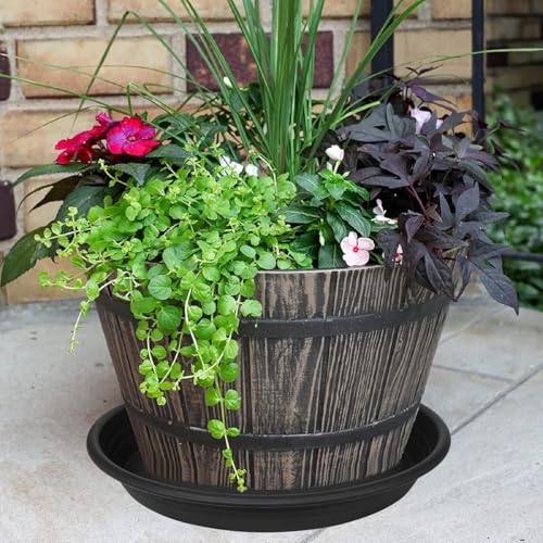 1 Pack of 26 inch Plant Saucer