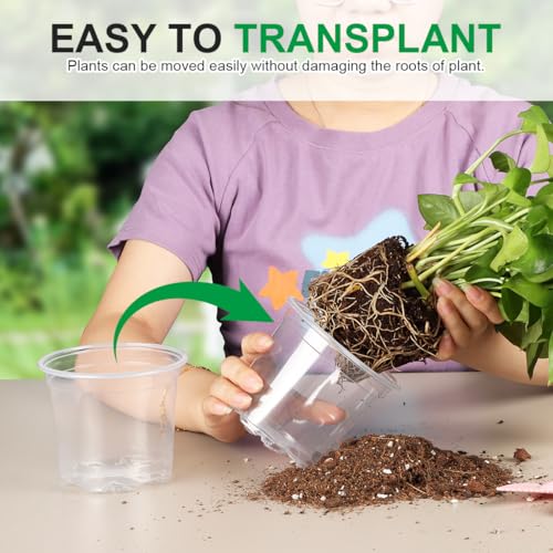 100 Pack 4 Inch Clear Plant pots with Drainage Holes (100 Count)