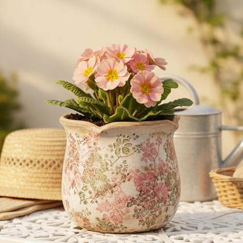 Ceramic Pots for Plants (Pastel Meadow)