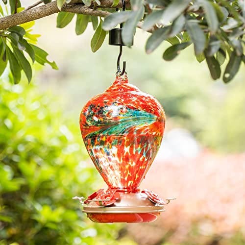 Hummingbird Feeders for Outdoors Hanging (Phoenix Flying)