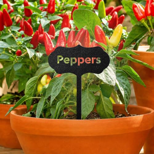 Metal Seed & Plant Markers