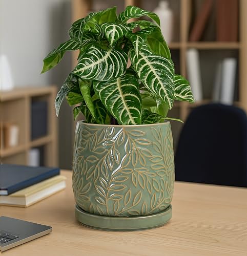 Embossed Leaves Ceramic Planter (6 Inch / Olive)