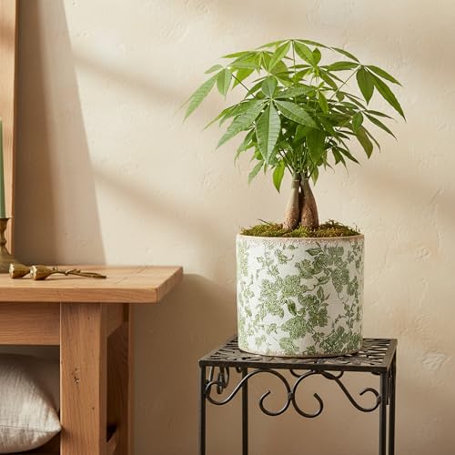 7.7" Large Green Plant Pots (Distressed Sage / Large - No Drain Holes)