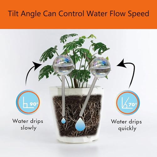 Glass Plant Watering Globes (2 1)