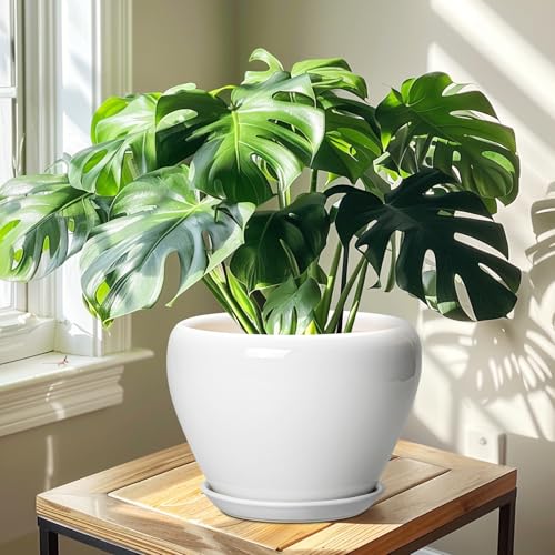 Ceramic Pot for Plants (10 Inch / Glossy White)