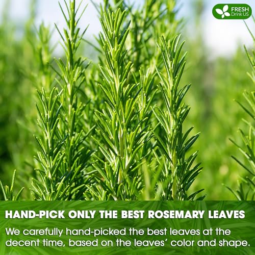 Premium Rosemary Leaf 135 Tea Bags (135 Count)