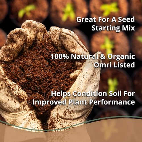 Coco Coir 650gm Bricks (Coco Bliss 650gm (6 Bricks))
