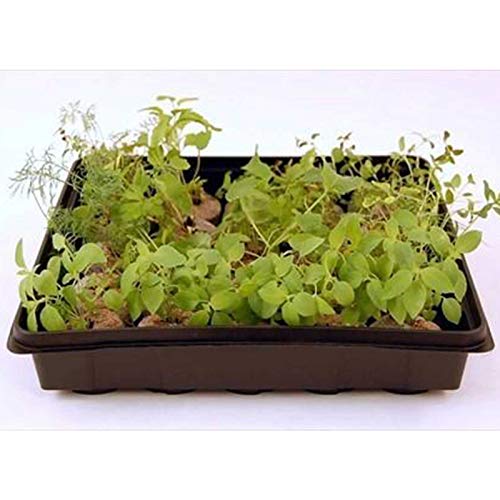 10" x 10" Garden Growing Trays with Drain Holes (10 Count)