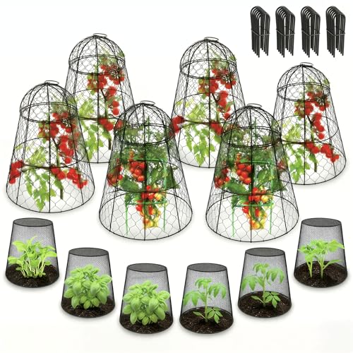 Garden Cloches for Plants (Set of 6+6)