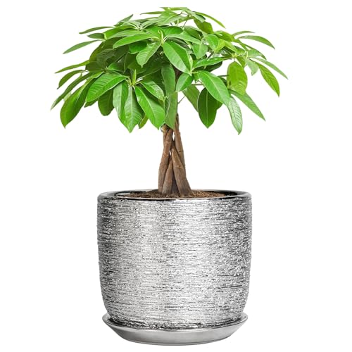 Ceramic Flower Pot