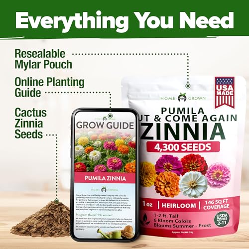 Zinnia Seeds Pumila Mix