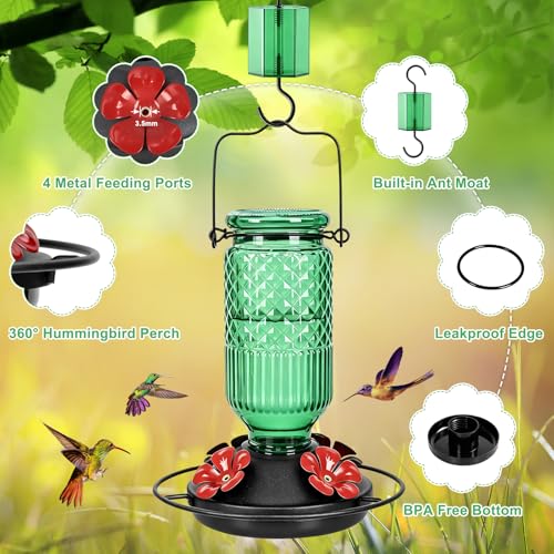 Glass Hummingbird Feeder (Green)