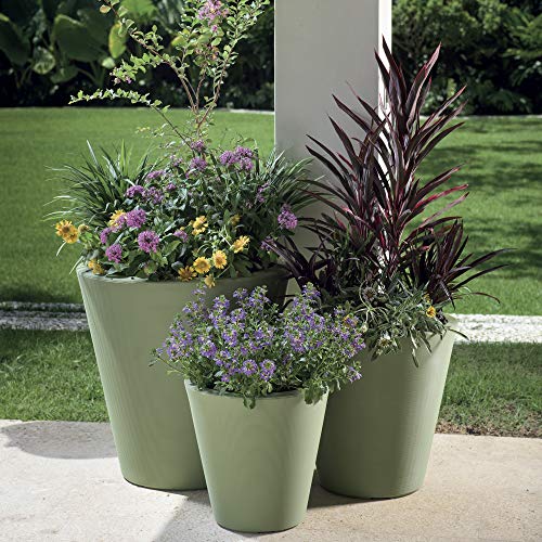 Madison Planter