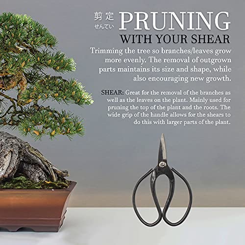 Bonsai 7" Heavy Duty Butterfly Shear