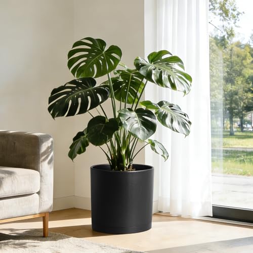 14 Inch Heavy (Black / 14 Inch Large)