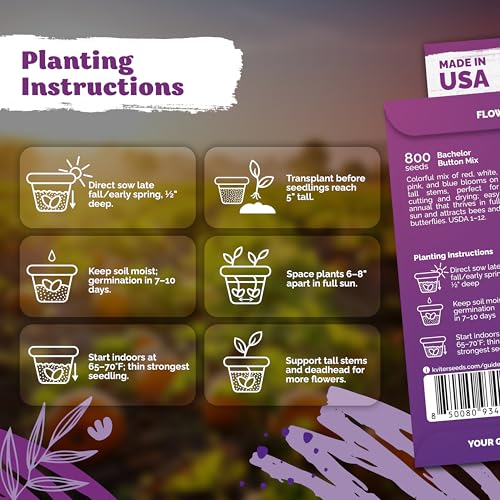 800 Mix Bachelor Button Heirloom Flower Seeds