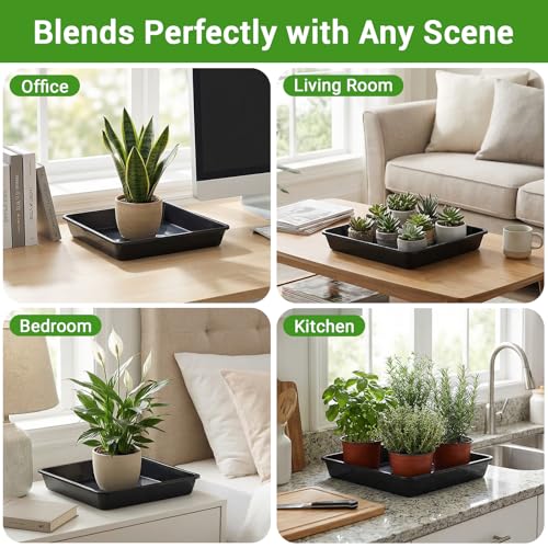 Black Square Plant Saucer (14" / Black)