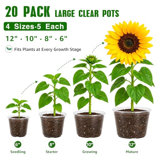 Clear Nursery Pots with Drainage Holes (6/8/9.5/12 Inch-20Pcs)