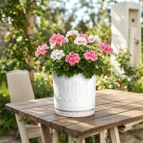 8 Inch Plant Pot (8 Inch / White - 2)