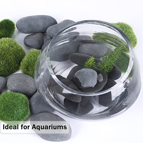 20LB Stones Pebbles River Rocks (20 Pounds / Black)