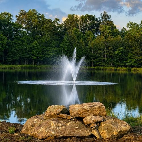 1.75 HP Floating Fountain & Aerator for Ponds and Lakes with 100 ft Cord (1.75 HP Pump-100' Cord / Color Changing Lights W/ Control Box)