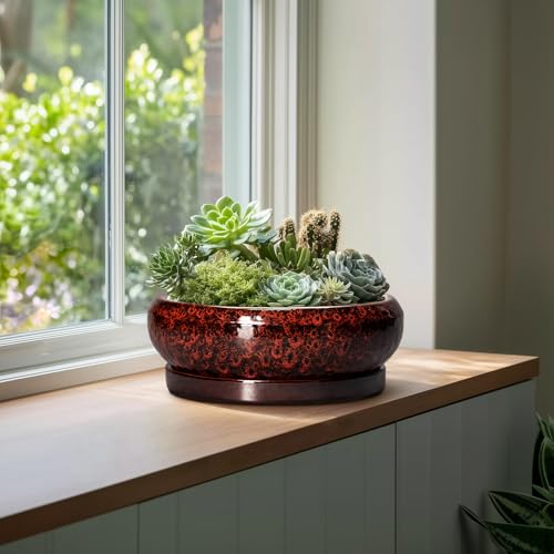 Bonsai Pots with Drainage Hole (13 Inch / Leopard Red)
