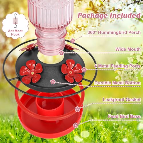 Glass Hummingbird Feeder for Outdoors Hanging (Pink)