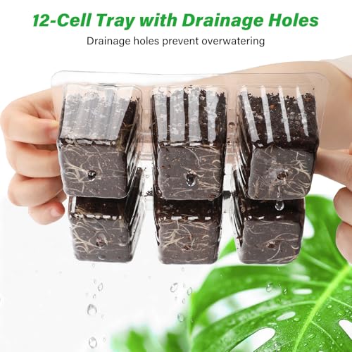 10 Pack Seed Starter Trays (Clear / 60 XL Cells)