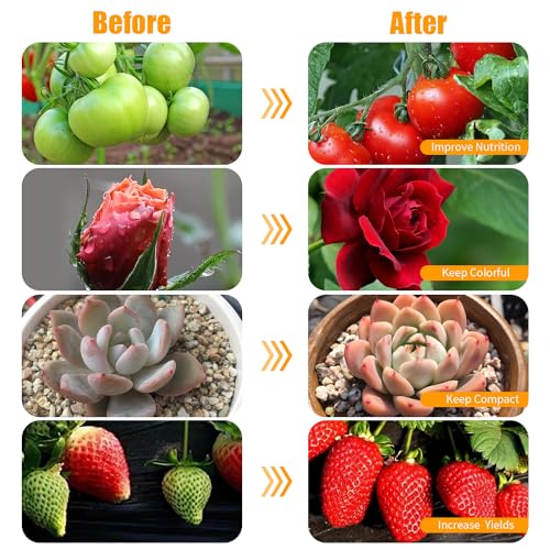 Black Grow Lights for Indoor Plants (2 Head 2 Pack)