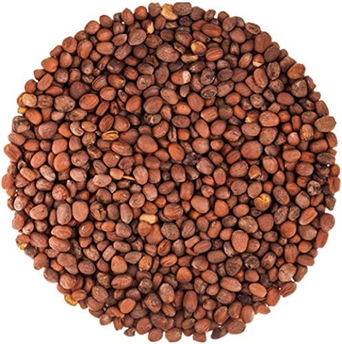 Organic Radish Seeds for Sprouting (15 Pounds)
