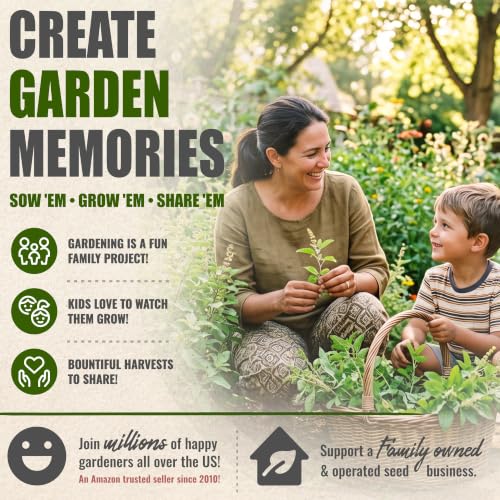 Holy Basil Seeds to Plant Heirloom Non (2 Packs)