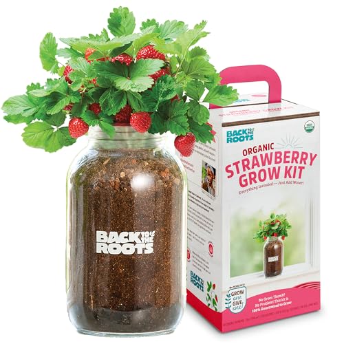 Organic Strawberry Grow Kit (Strawberry)