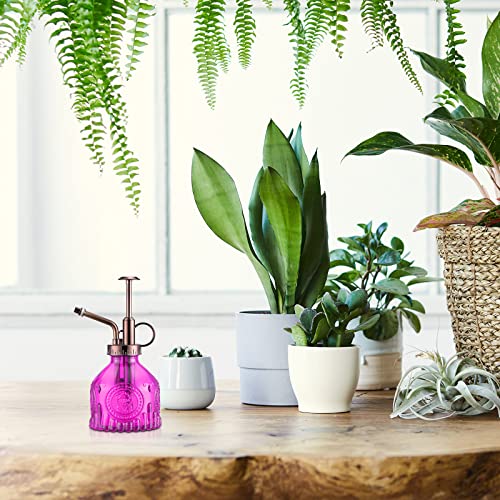 8 Pcs Glass Plant Mister Spray Bottle 200ml Vintage Plant Spritzer Multicolor Succulent Watering Bottle Watering Can 6.4'' with Plastic Top Pumps for Indoor Outdoor Succulents Garden Plants (8 Count)