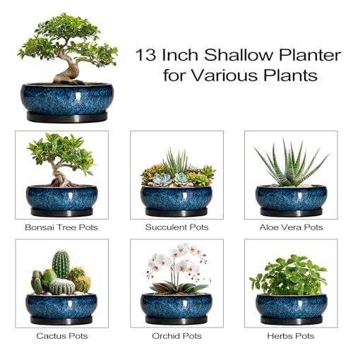 Bonsai Pots 13 Inch Ceramic Succulent Pots for Indoor Outdoor (13 Inch / Blue)