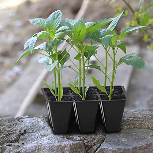 120 Pack 6 Cell Seed Starter Trays with Drainage Holes Black (120 Pcs / Black)