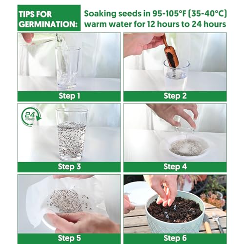 1 500+ Tomato Seeds (10 Count)