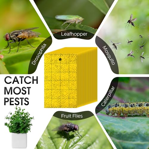 150 Pcs Yellow Sticky Trap for Gnats 6 x 8'' Dual Side (6'' X 8'' / Yellow)