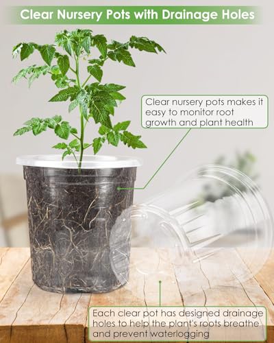 30Pack 5 Inch Reinforced Clear Nursery Pots with Drainage Holes (30 Count)