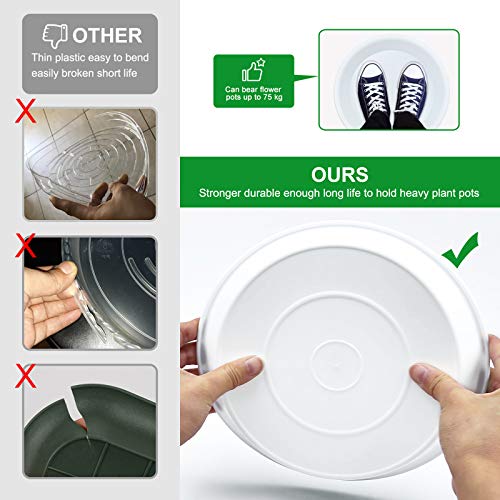3 Pack Plant Saucer Heavy Duty Sturdy Drip Trays for Indoor and Outdoor (White / 12 Inch)