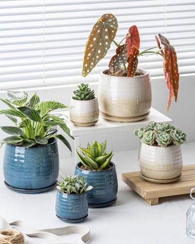 Ceramic Plant Pots with Drainage Holes and Saucers (3 Count)