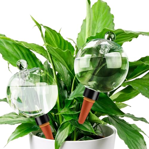 19 oz Up to 2 Weeks Extra Large Plant Watering Globes (2 Count)