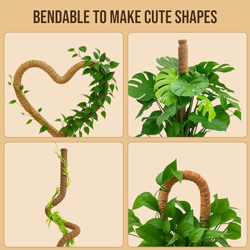 Moss Pole Monstera Plant Support (2-Pack (48 in))